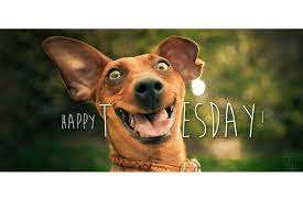 The rain washed away the snow so we could be here today! Have a great day fam!