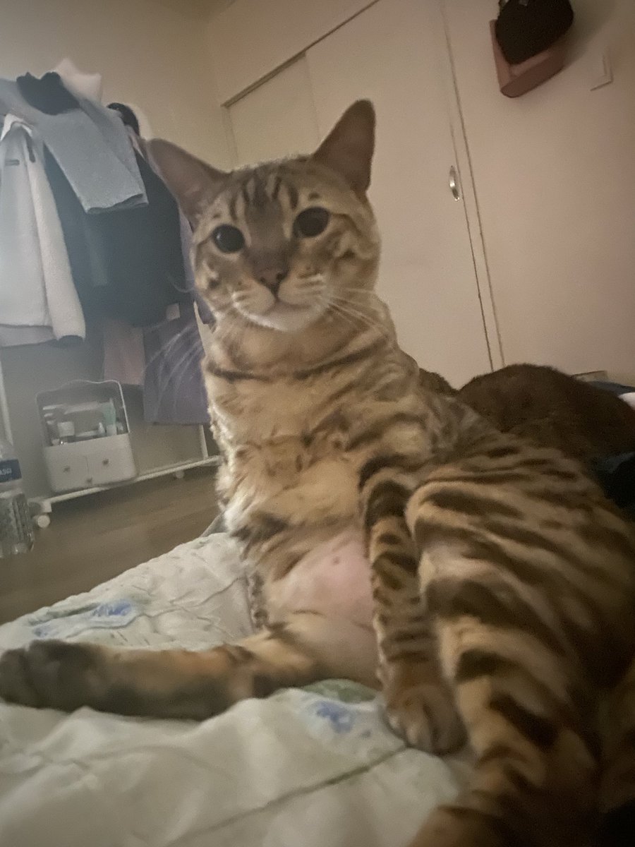 배 어떡하냐 진짜