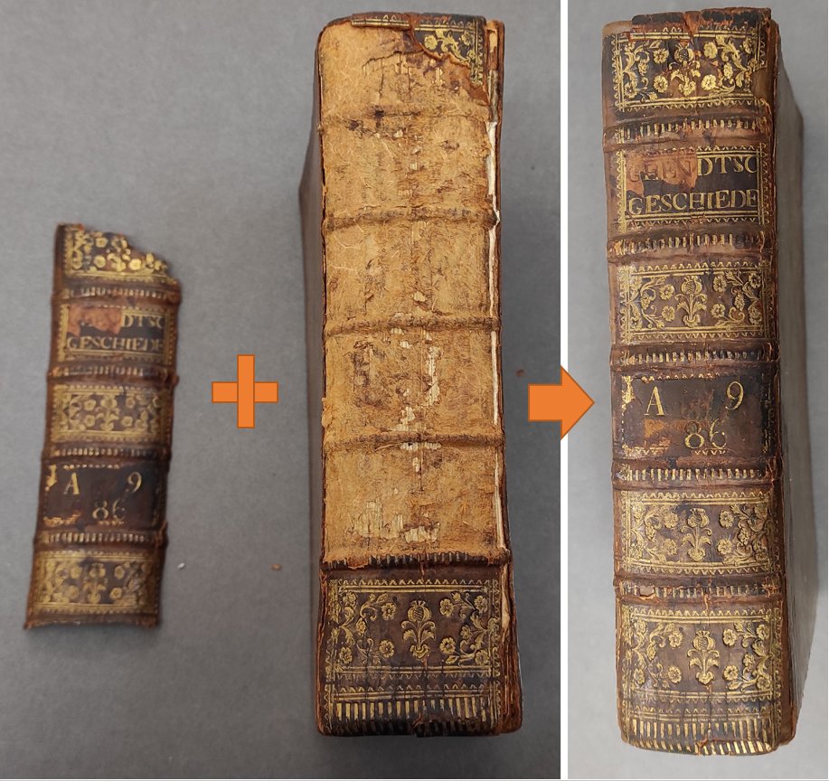 tcdlibrary's tweet photo. Our newest video explains why #bookconservation is an essential step in the process of Unlocking the #FagelCollection (and keeping the #TCDOldLibrary collections in working condition)
@TCDResearchColl
https://t.co/58LrARr1OR
#VirtualTrinityLibrary #InspiringGenerations https://t.co/Hdotp0qtg2
