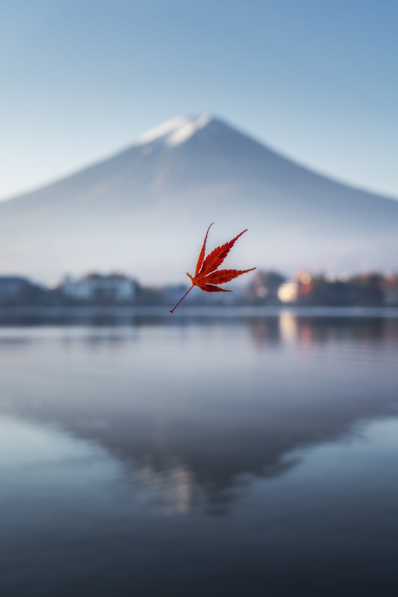 phaengy's tweet photo. Check out my FND works
1.Have a Good Day
https://t.co/B9wcKJXIwM

2.Autumn Float
https://t.co/tS1QNks159

3.Heaven on Earth
https://t.co/tAUICGEmeu

#NFTs #NFT #NFTartist #nftcollectors #nftphotography #nftart #Foundation https://t.co/PzcNhYCfVO
