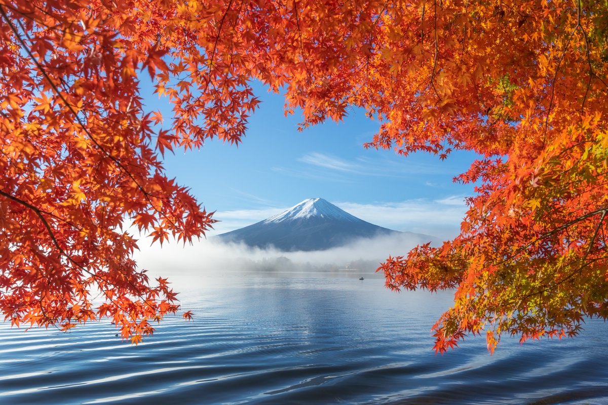phaengy's tweet photo. Check out my FND works
1.Have a Good Day
https://t.co/B9wcKJXIwM

2.Autumn Float
https://t.co/tS1QNks159

3.Heaven on Earth
https://t.co/tAUICGEmeu

#NFTs #NFT #NFTartist #nftcollectors #nftphotography #nftart #Foundation https://t.co/PzcNhYCfVO