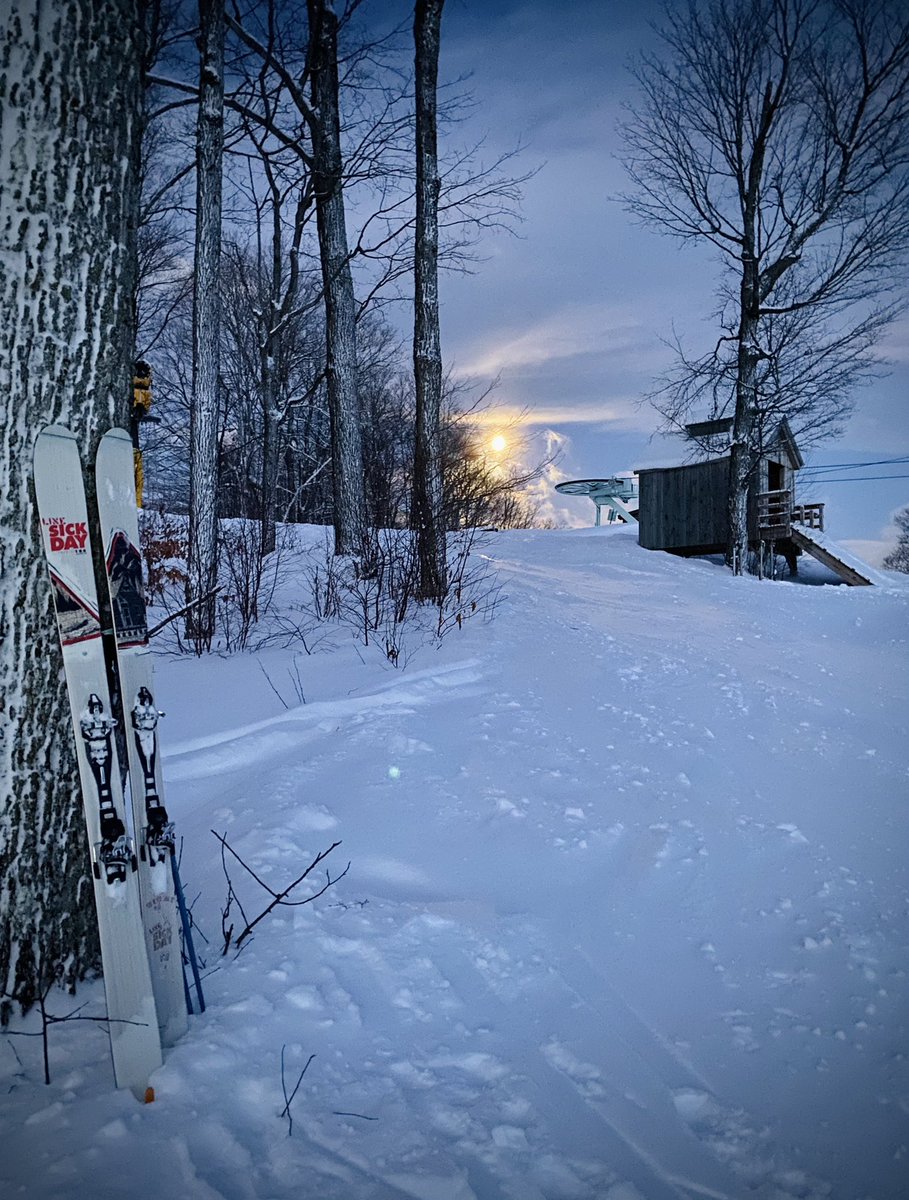 Mark Andrews tweet media