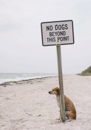 Bender(less) tweet media