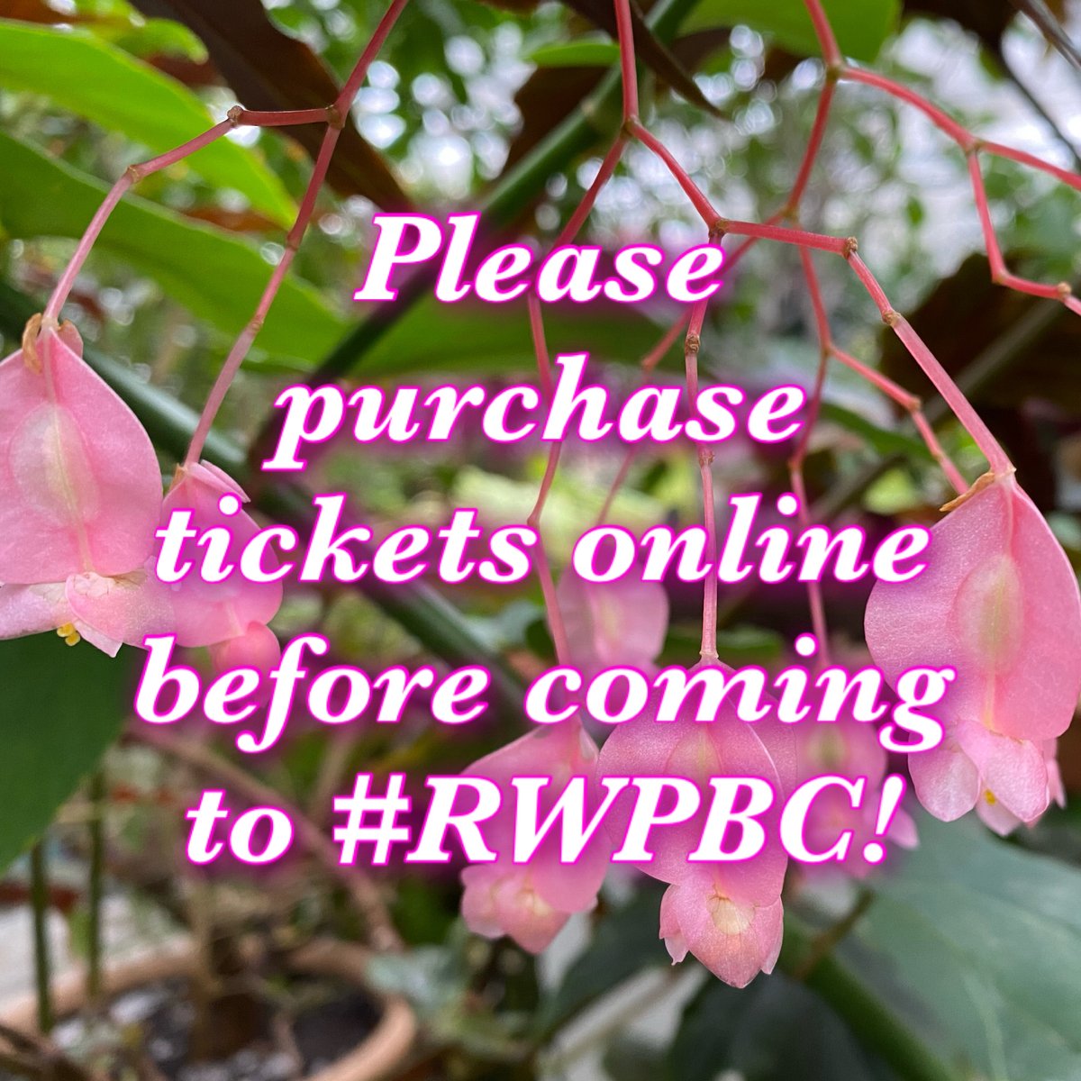 RWPBotanicalCtr's tweet photo. As a reminder, we would prefer you always purchase tickets online before coming to #RWPBC, to limit the amount of times our staff has to handle cash/credit cards. This week we will have a few days with no staff in the ticket booth. Thank you in advance. https://t.co/crS6m0sPRK https://t.co/24CwVH3XIf