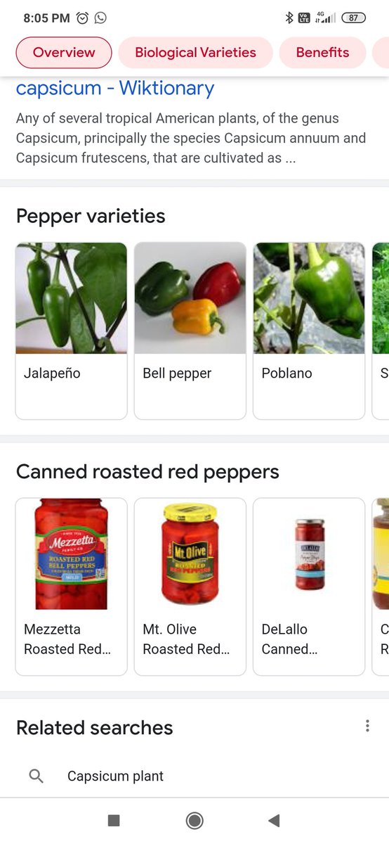 b4k_khushal's tweet image. I think #Google wants users to keep search. 🔎
 
As I found another new things.
Keep 👁️ on Google.

 #smartgoogle
#AI
@SaijoGeorge