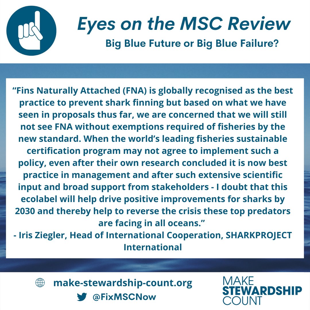 FixMSCNow's tweet photo. We know that FNA is global best practice. Will the board make the right decision and adopt FNA - no exemptions in the new standard? @MSCecolabel should be driving best practice, not holding it back. https://t.co/82emM3XqYc

#SustainableSeafood #FixMSC #FinfreeMSC https://t.co/Jlj67keQwE