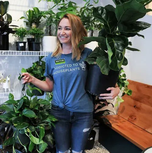 NCCC1968's tweet photo. Looking for a hobby that is low impact and improves your mental health? Consider getting house plants! The benefits of house plants are endless, not only can having house plants boost creativity but they also help reduce anxiety and boost your mood. 💚
https://t.co/JQ1aul2ICt https://t.co/3NFS5IyQDe