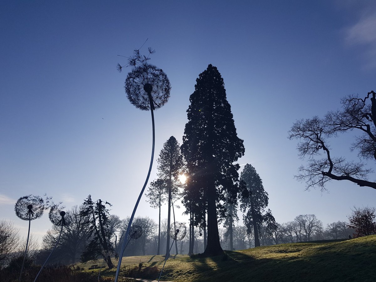 kendie's tweet photo. A walk around Trentham today. Lovely blue skies and some great clouds. Lovely to see the fairies in the sun. #TrenthamEstate #trenthamgardens #winterwalks #wintersunshine #Fantasywire #fairies https://t.co/v3KTobIe3i