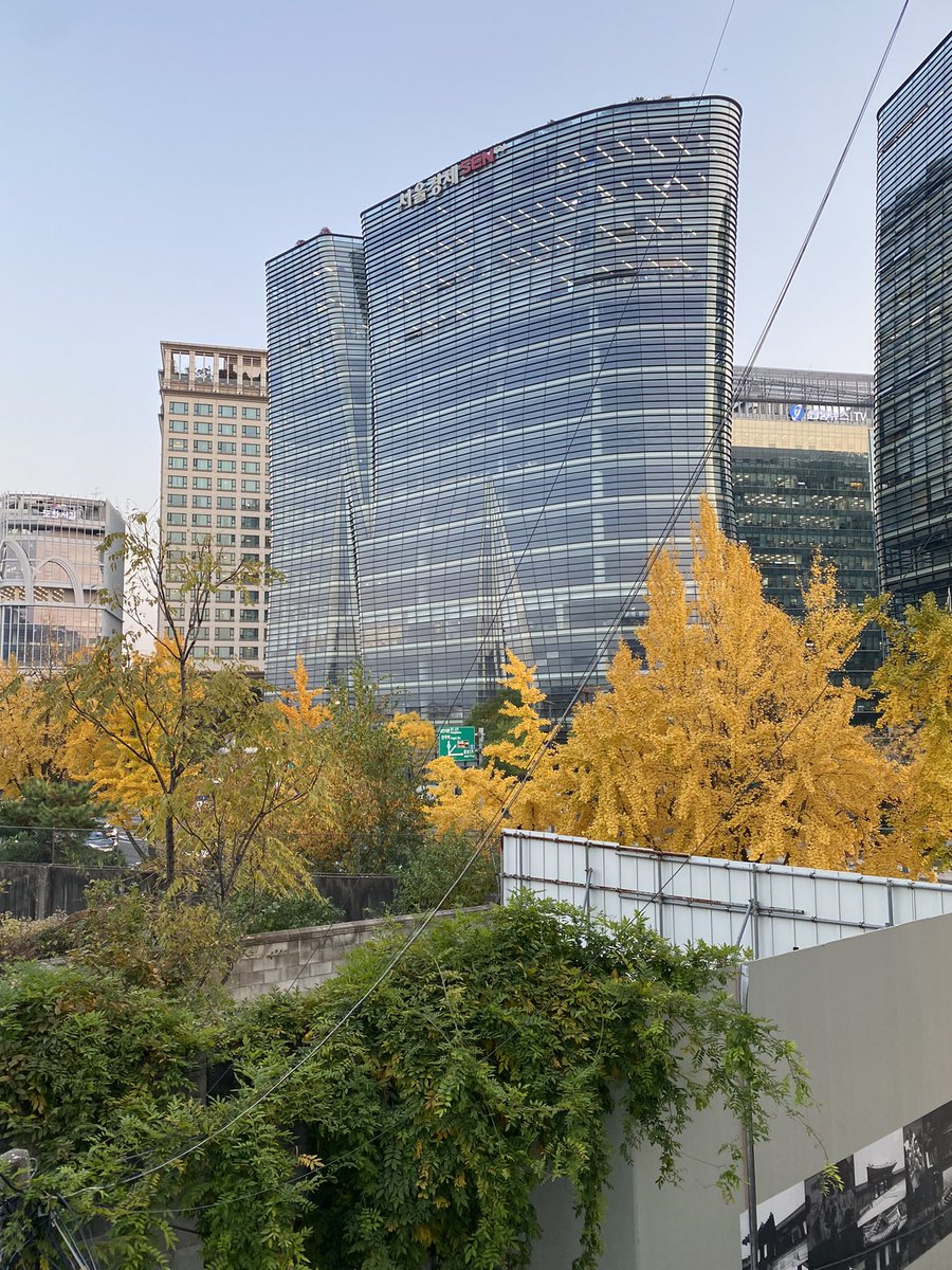 CooLs2331's tweet photo. 🍁 🏛 
유난히도 하늘이 더 높아보였던 날 https://t.co/0KitWxlQZB