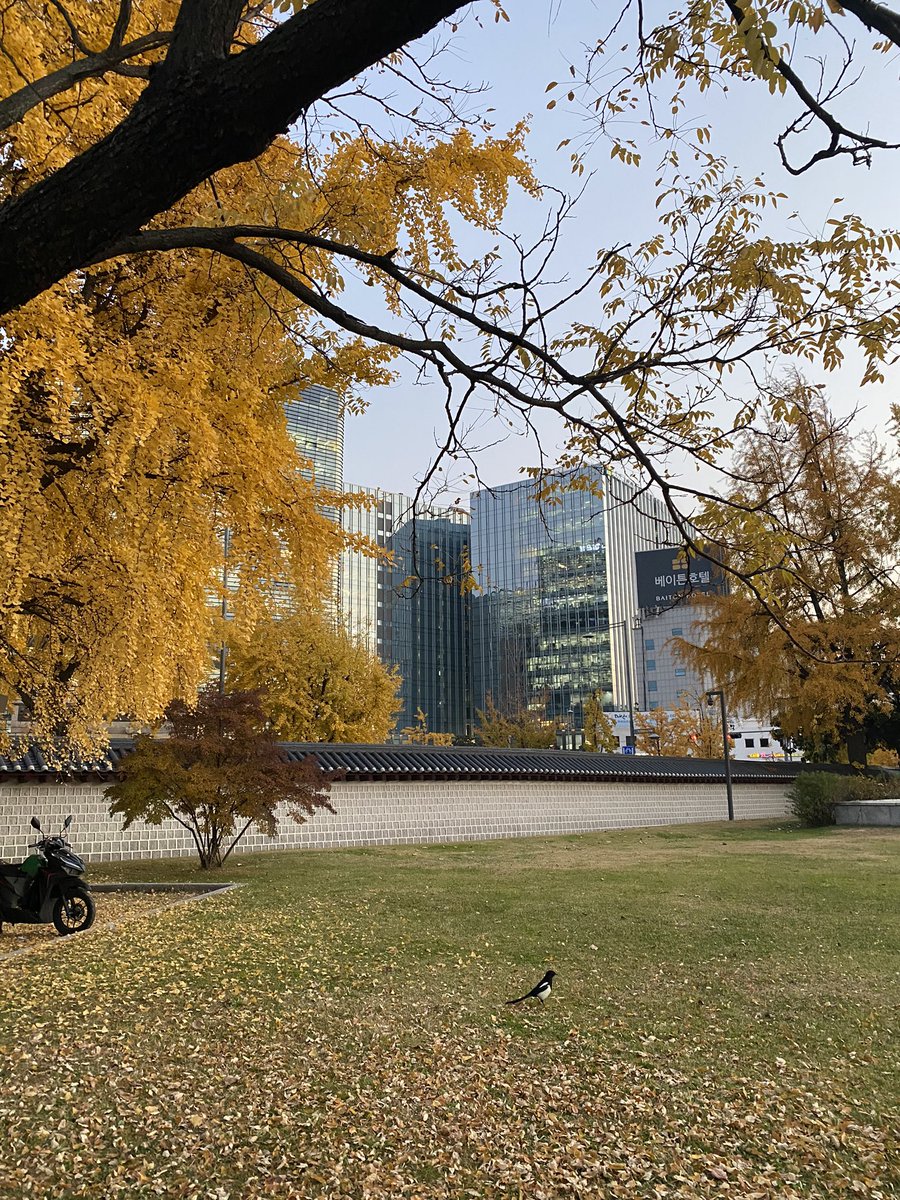 CooLs2331's tweet photo. 🍁 🏛 
유난히도 하늘이 더 높아보였던 날 https://t.co/0KitWxlQZB