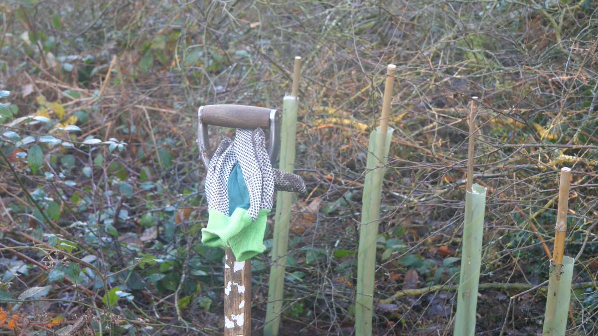 North Norfolk District Council tweet media