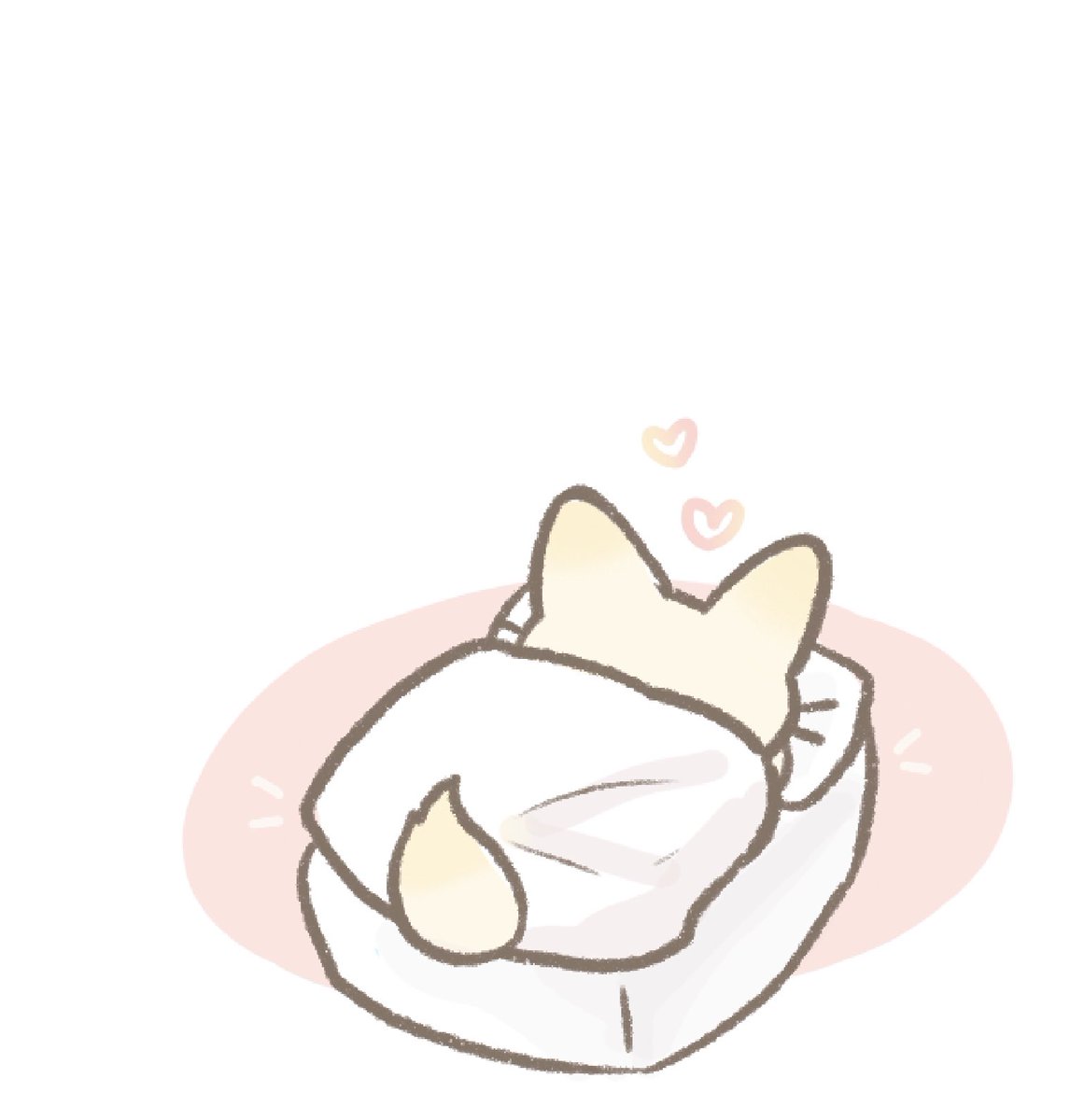 di6o7r's tweet photo. 뽀송빵 https://t.co/xxqVSbyr1u