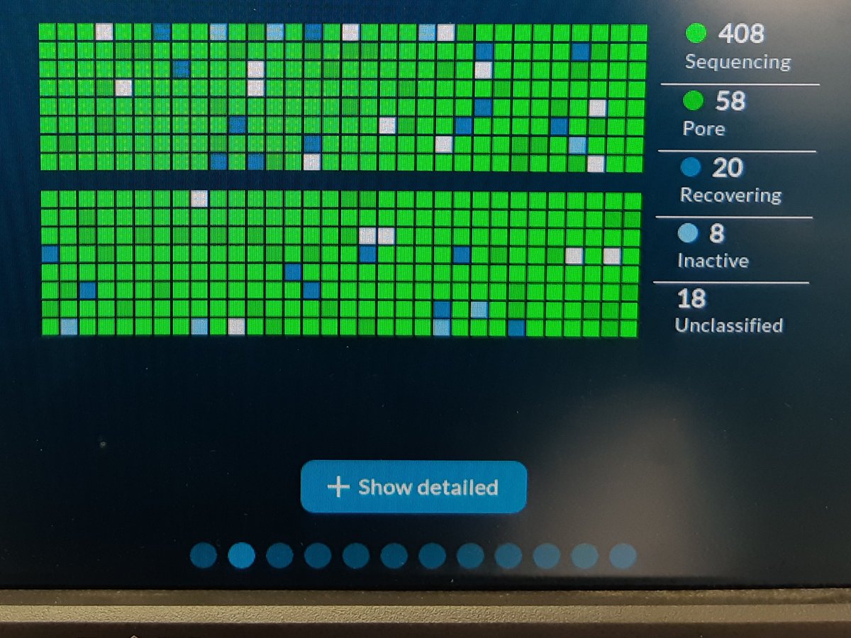 Sophie Teullet tweet media