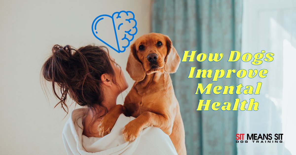 DogTraining_MI's tweet photo. How Dogs Can Help Improve Your Mental Health | https://t.co/yzDSQm7H1m https://t.co/s80xzTYEYC