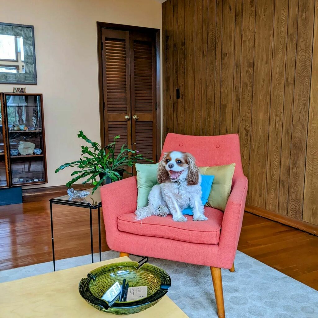 M_C_Mahalo's tweet photo. #Puppysitting is the best 🤎
.
#puppy #puppiesofinstagram #godawgs #puppies #dog #dogs #pup #puppylove #puppies #pupper #doggo #dogsofinstagram #kingcharlescavalier #cavalierkingcharlesspaniel #doglover #doglife #dogoftheday #tuesdaymotivation #doglovers #dogphotography #pupp… https://t.co/Ot4FghTAsE