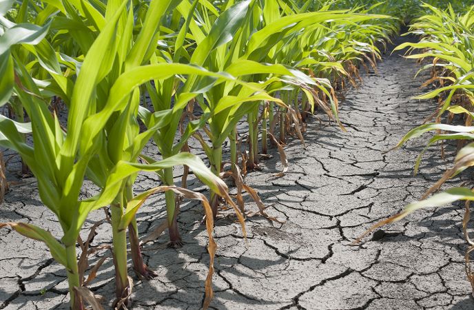 MetOffice_Sci's tweet image. In 2013 flash #droughts in Southern China affected million 2 hectares of crops.  

See how CSSP China scientists are using #satellite data to monitor near-real time emerging drought conditions👇 
bit.ly/3EHEQif 

#WCSSP