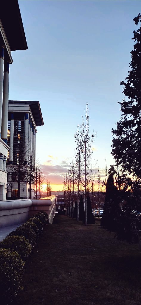 Kubraascii's tweet image. 