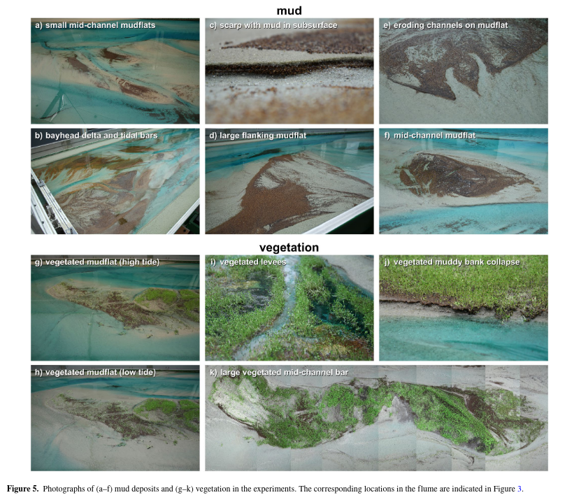 JGREarthSurface's tweet photo. New OA Paper: Building and Raising Land: Mud and Vegetation Effects in Infilling Estuaries

Weisscher et al.,

https://t.co/R4Ga5qyyqG https://t.co/Vyst9lHslb