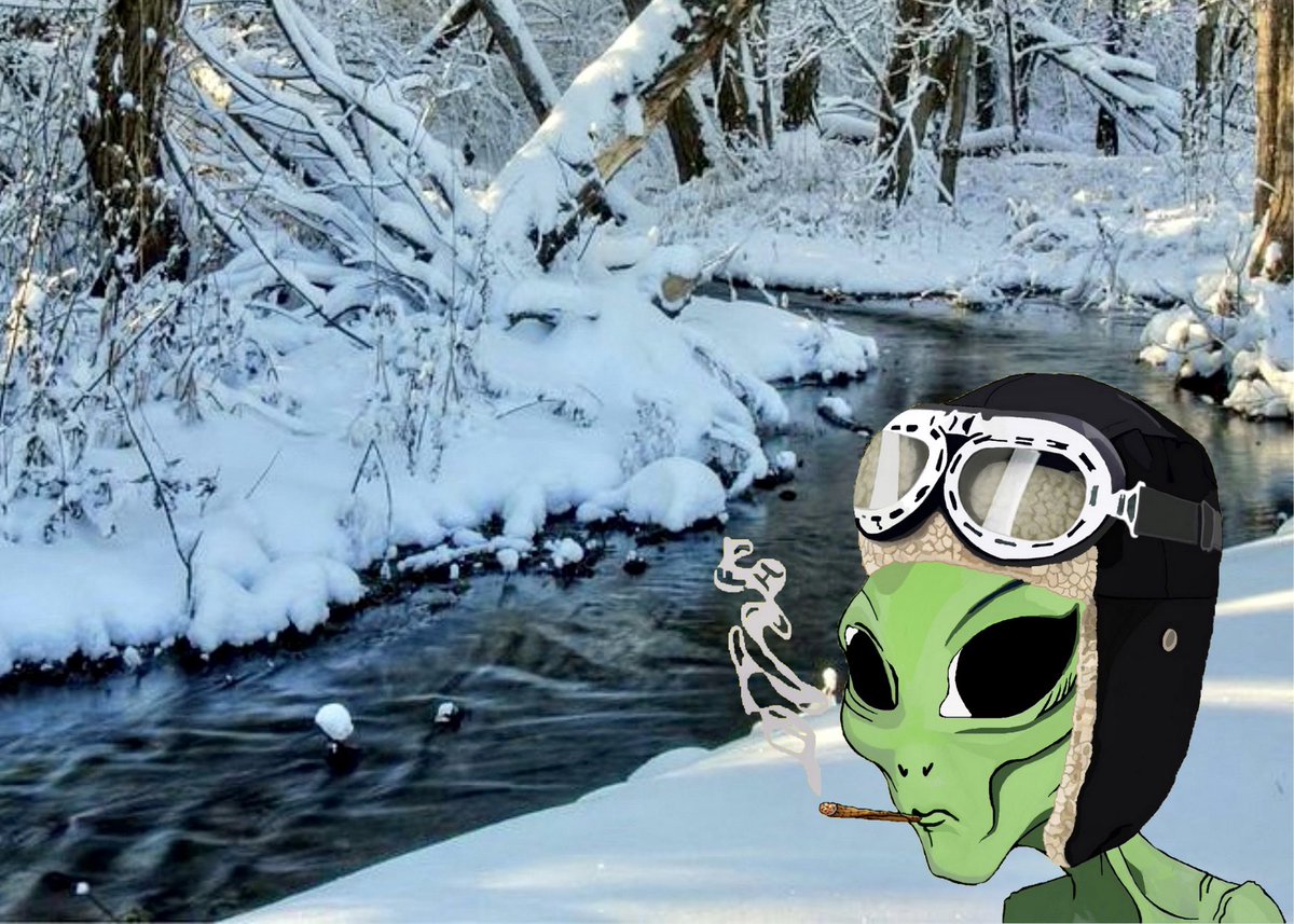 ForeignHomies's tweet photo. Currently in Pennsylvania. #WINTER2022 #NFTCommmunity #NFT #ForeignHomies https://t.co/6YhJEe6jYf