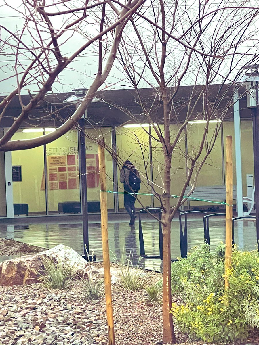 erickaaviles's tweet image. While warming up in car, I saw many students start to trickle in! Not even 7:30am. Some their parents dropped them off. 

Send them all the vibes for a great semester ahead!

What a blessing to be able to have access to quality education &amp;amp; dream big  💙

#IAmFirstGen #micomunidad