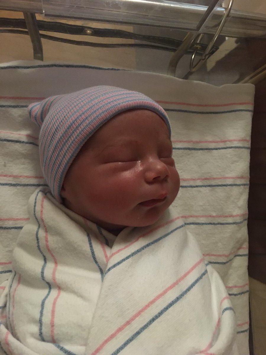 Madeline Laurano tweet media