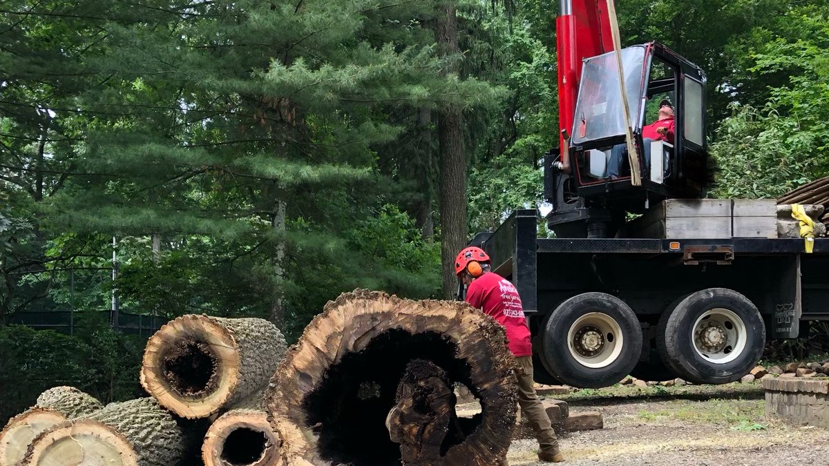 amazingtreesnj's tweet image. Professional Tree Removal NJ
To schedule a free estimate call us at (973)343-6868.

#TreeRemovalService #TreeRemovalServiceNJ #TreeRemoval #TreeRemovalExperts #ProfessionalTreeRemovalService
atreeservicenj.com