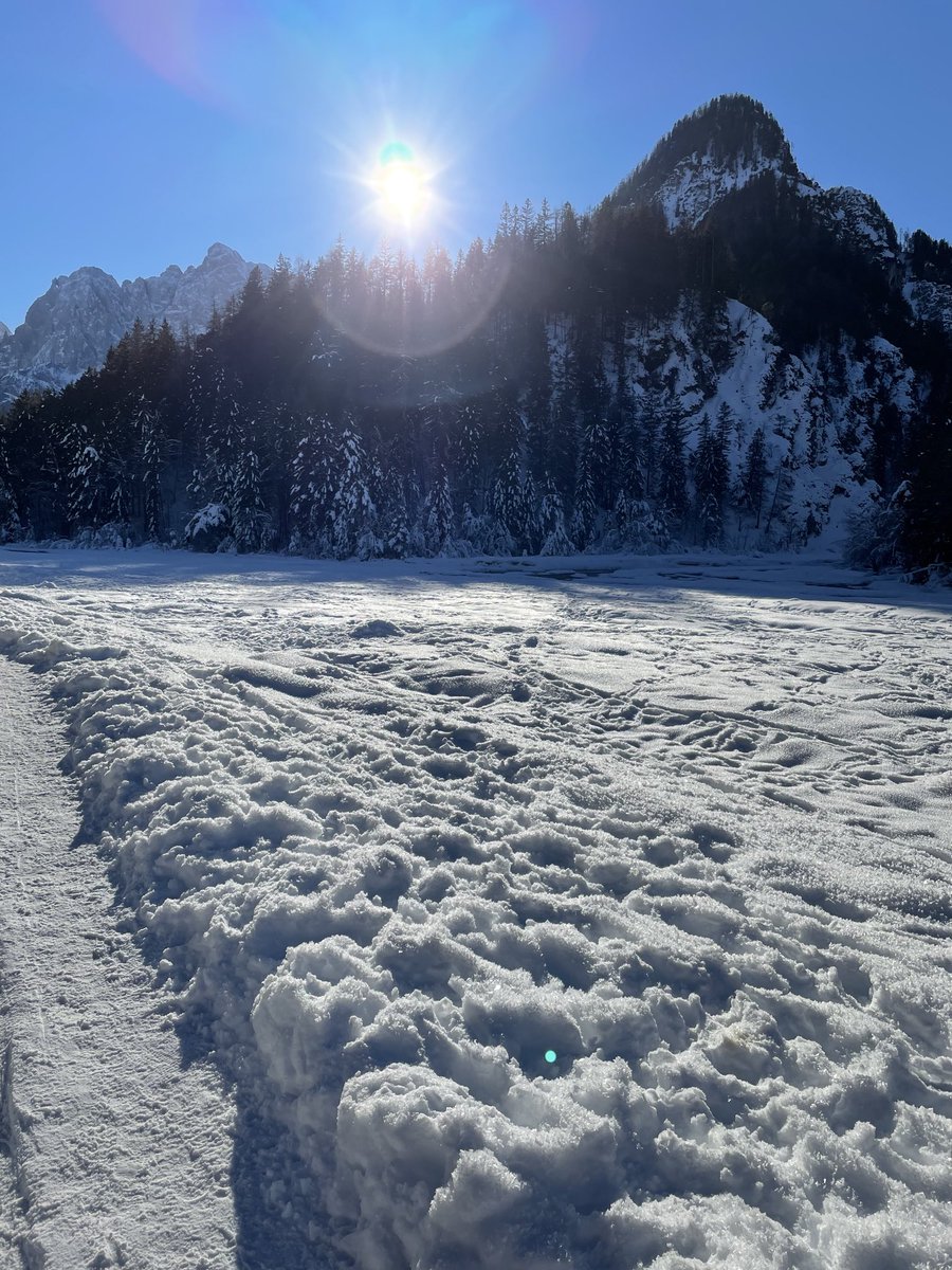 simonsteinman's tweet image. 