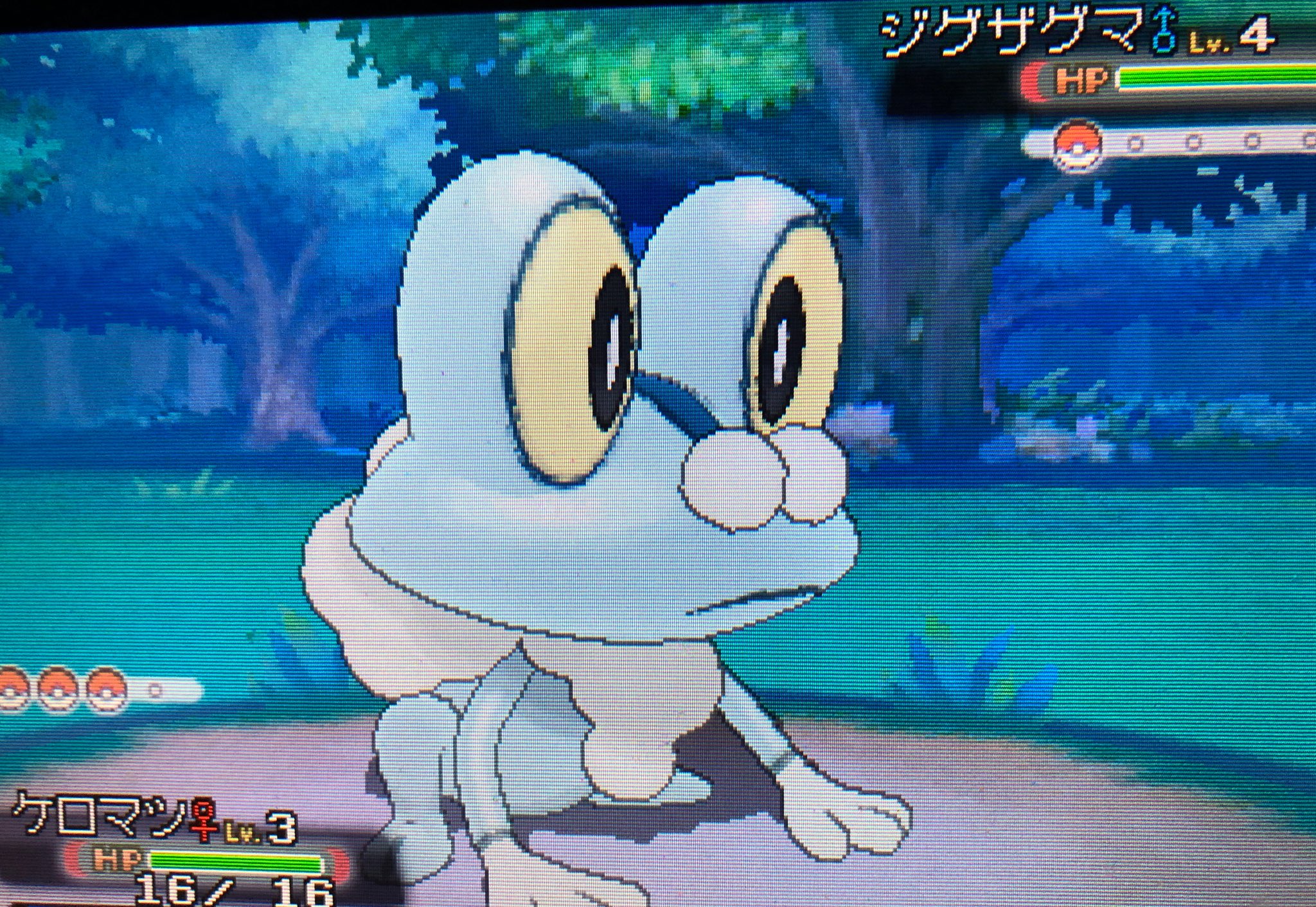ポケモンoras Twitter Search Twitter