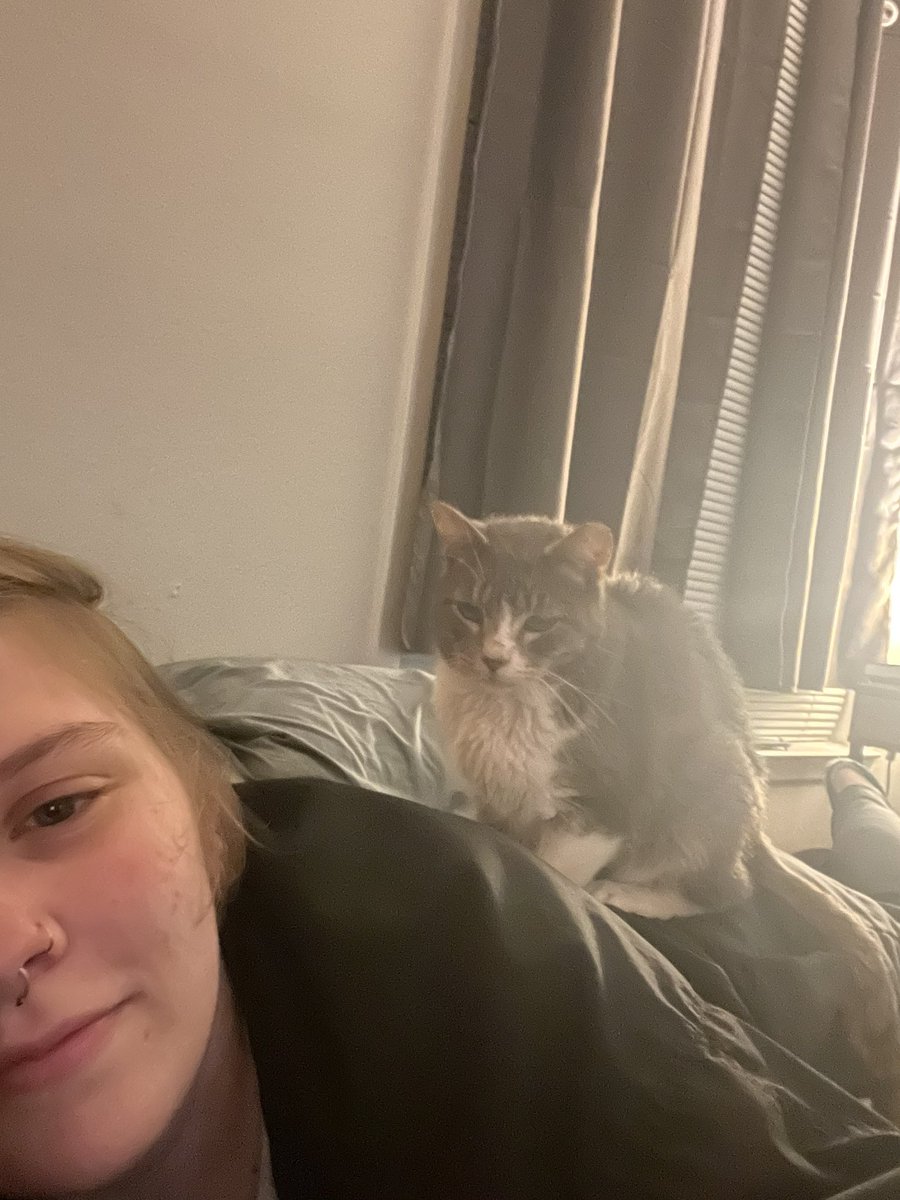 love when my cat treats me like a jungle gym