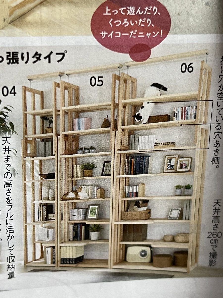 NekoJitaBlog's tweet photo. Nos suelen llegar al buzón catálogos de este tipo y el de hoy incluía muebles adaptados para que los gatos te la líen parda (pun intended) https://t.co/MqTV5Fl1FM