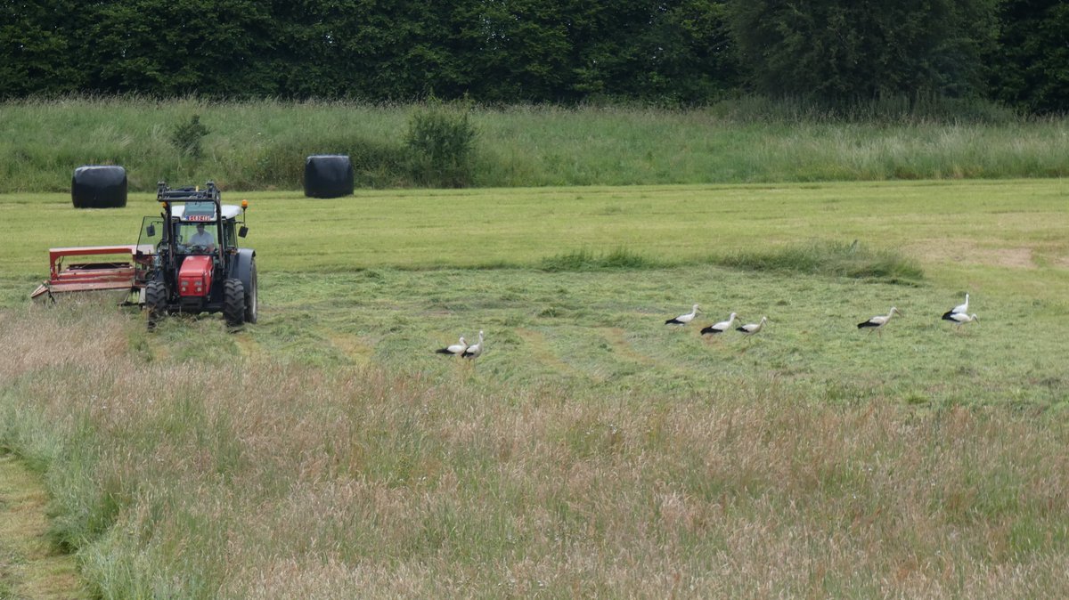 Hier, le #WalGov a annoncé un accord sur le Plan Stratégique pour la #PACWallonne 2023-2027 🐮
La coalition IMPAACT, dont fait partie <a href="/natagora/">Natagora</a>, et l'UNAB notent une évolution timide mais pas de transition en vue 👀
👉 bit.ly/3KoDxrE ‼️
<a href="/PSofficiel/">Parti Socialiste</a> <a href="/MR_officiel/">MR</a> <a href="/Ecolo/">Ecolo</a>