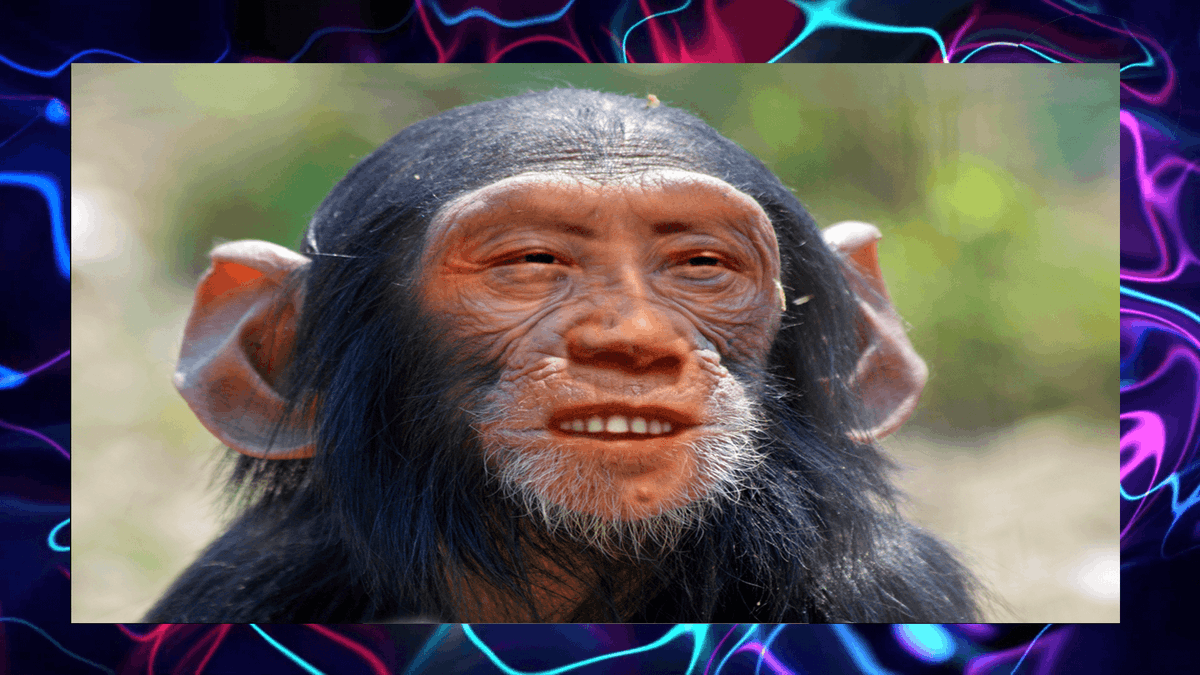 empyrealite's tweet photo. https://t.co/IEA6eMRTEb

#monke #monkey #MEMES #dankmemes #dankmeme #funny #returntomonke #rejecthumanity #wageslave #meme #youtube #monkies #apes #primates https://t.co/iKmPzJq46l