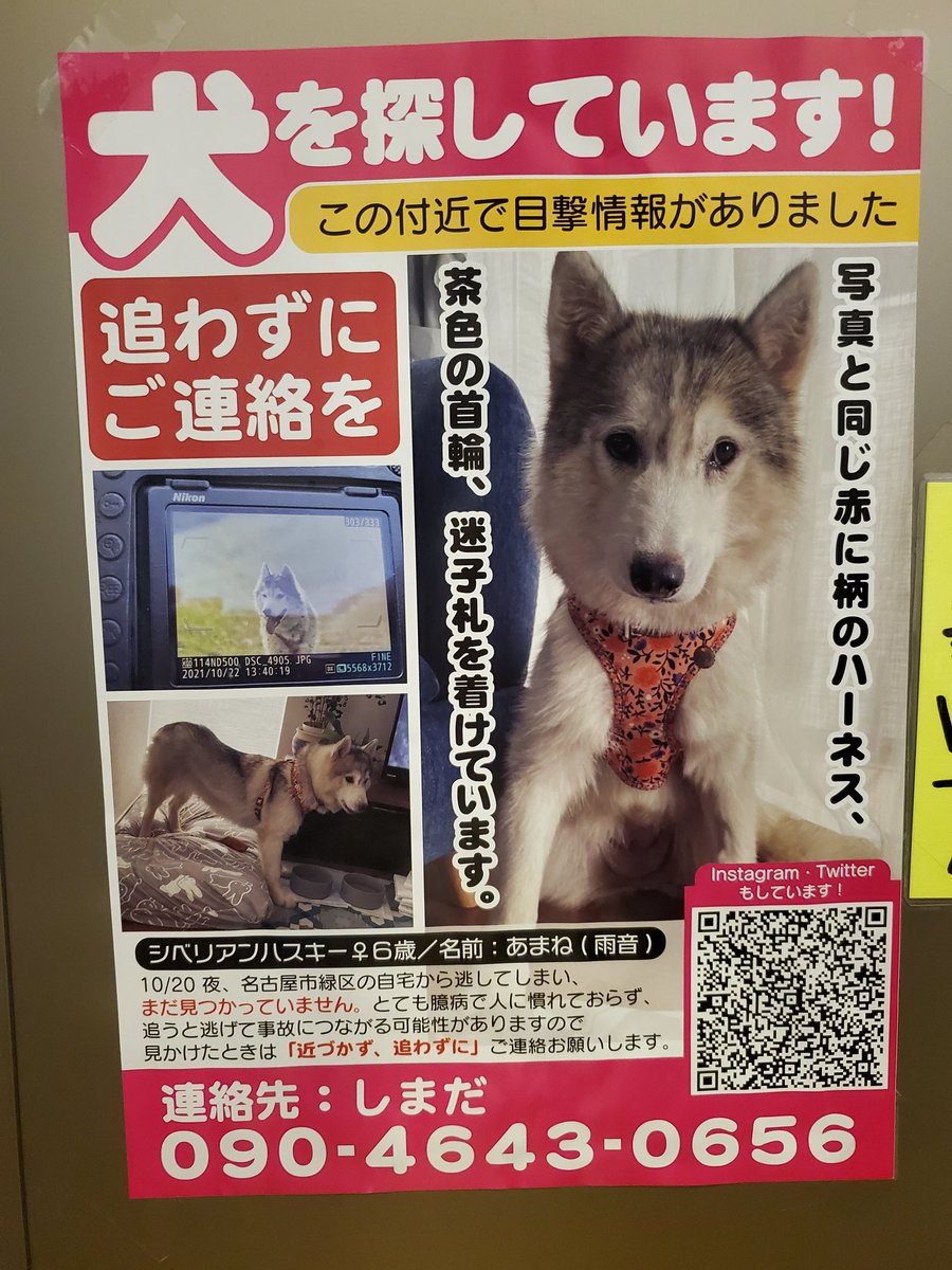 ペット用品のお店 299 Life Nikuq299ayls Twitter