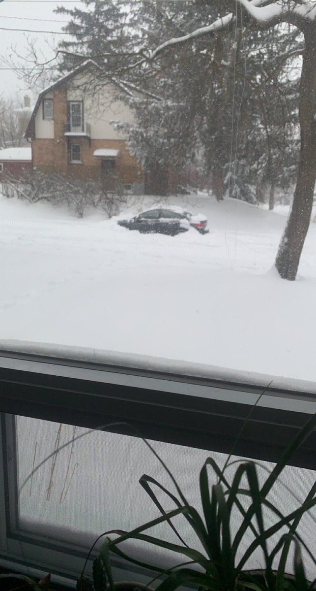 KeelyWins's tweet photo. Thankyou so much to the stranger’s that helped shovel me out this morning https://t.co/ITEdMu0Oez