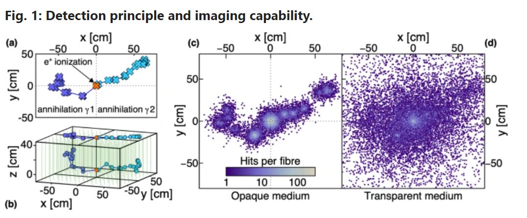 <a href="/AnataelCabrera/">Anatael Cabrera</a> et al. introduce an opaque scintillator detector concept for future neutrino experiments with increased capacity for particle identification and a natural affinity for doping. <a href="/jeffhartnell/">Jeff Hartnell</a> @MPravikoff <a href="/tjcbezerra/">Thiago Bezerra</a> <a href="/LiquidODetector/">LiquidO</a> nature.com/articles/s4200…