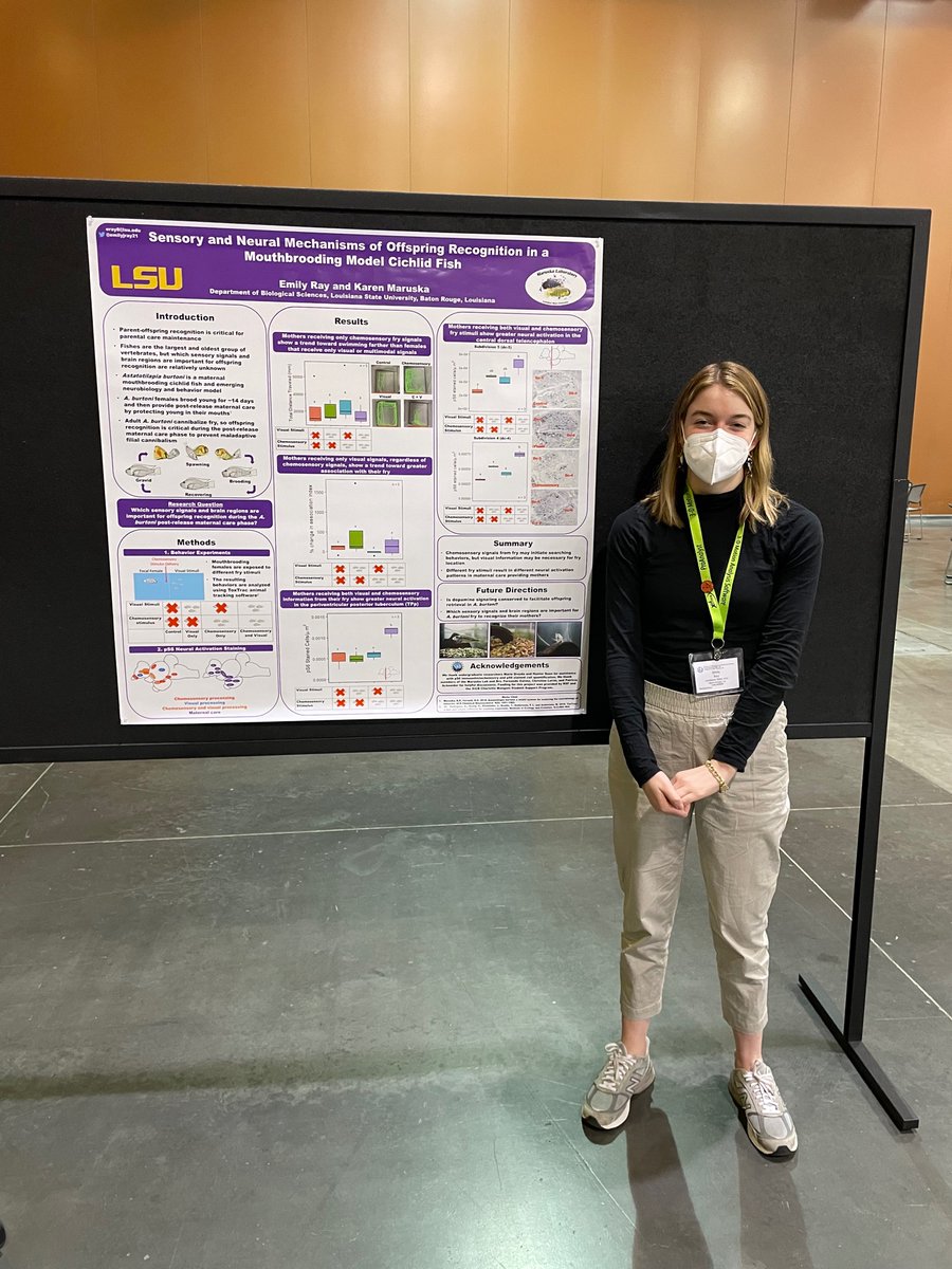 Maruska Lab tweet media