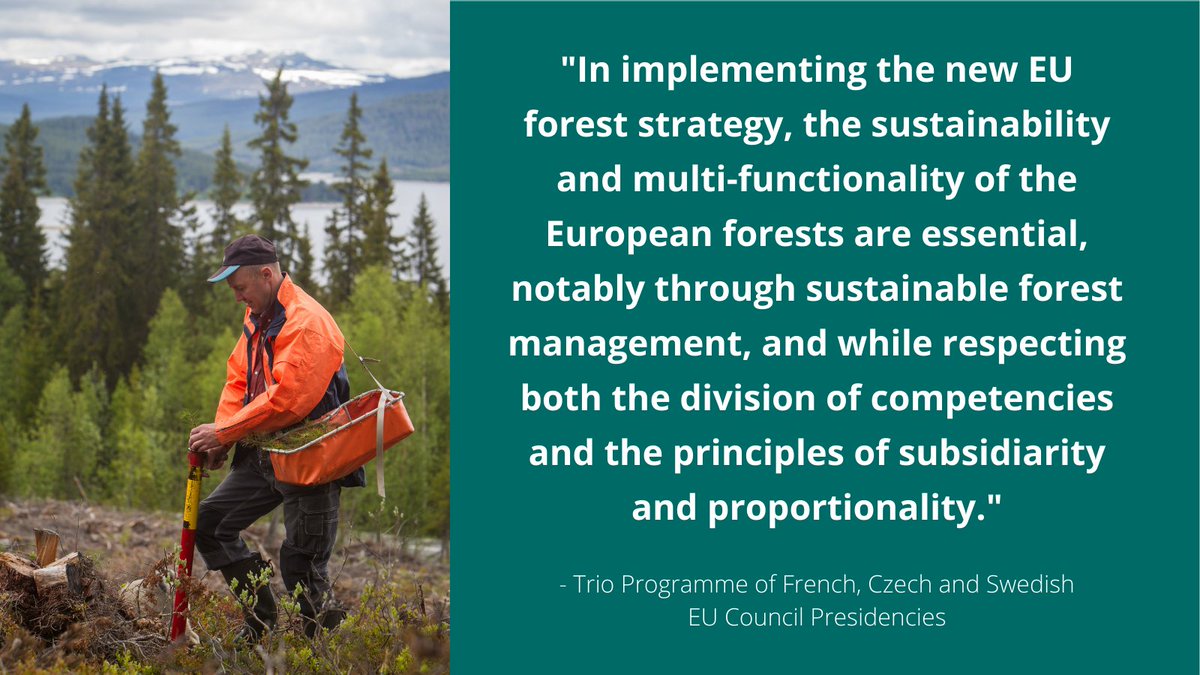 test Twitter Media - The 18-month Trio EU Council Presidency of 🇫🇷🇨🇿🇸🇪 has kicked off and we looked into the Trio's Programme 👉https://t.co/8gwtc04SdH

We especially welcome their views on the role of #SustainableForestManagement in implementing the new #EUForestStrategy 👇 https://t.co/quISdZvFbJ