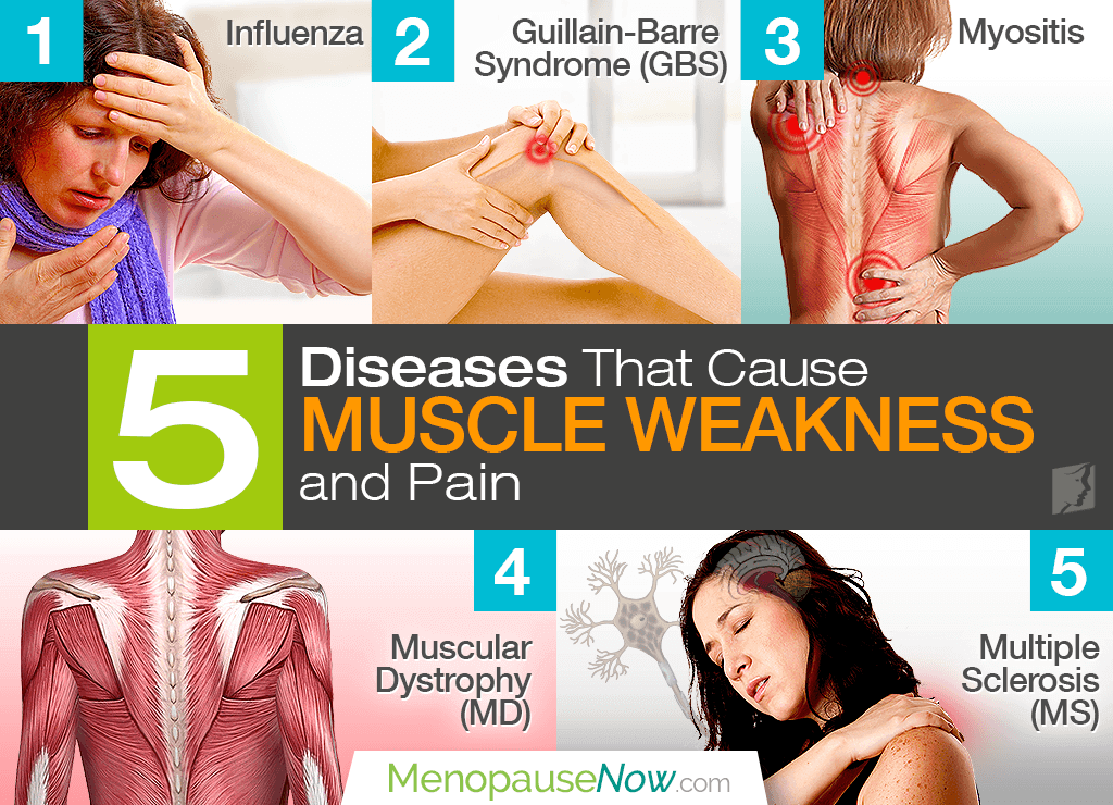 Discover five diseases that cause muscle pain and weakness so that you are a step closer towards finding the help you need. shecares.com/symptoms/diffi…