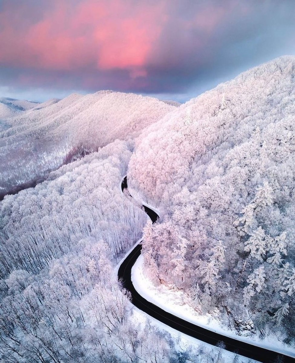 Here's one of our favorite captures of this weekend's Asheville snowpocalypse — taken by Jared Kreiss. Just wow. 😍