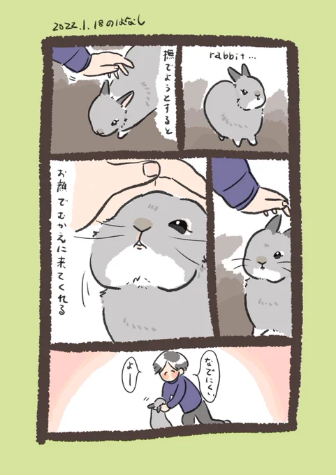 日付け変わって昨日のrabbit…
#うさぎのいる生活 