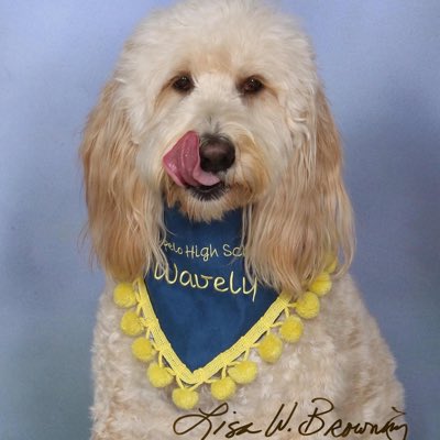 THSWavely's tweet image. #NewProfilePic