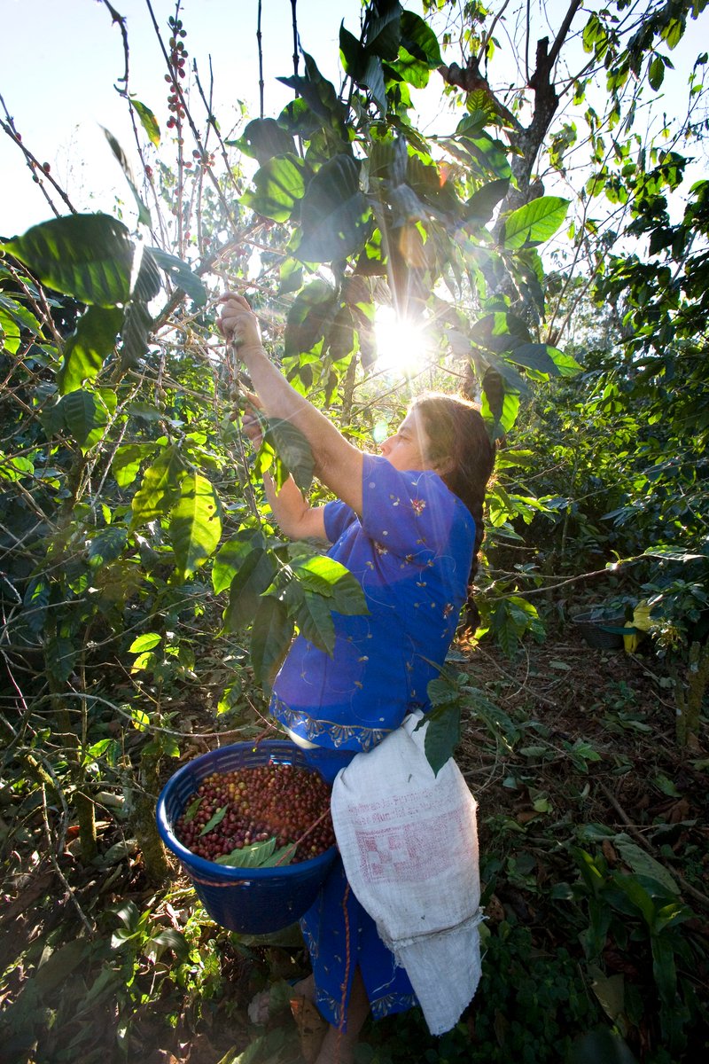EFICOCOFFEE's tweet photo. Hi there coffee lover,
We hope you started this New Year well!
We started 2022 with renewed energy and look forward to the new opportunities, organic growth and partnerships this year may bring. 

We are excited about new arrivals! Our Q team’s taste buds are in full swing 🥄🤩 https://t.co/8PI8ixBfFy