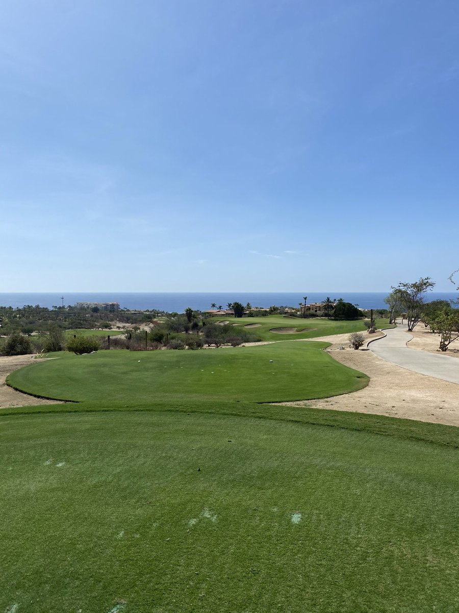 AustinxAustin's tweet image. Can confirm, Cabo del Sol golf does not suck.