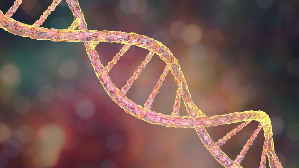 maximaxoo's tweet photo. #Science: new study provides first evidence of #NonRandom #mutations in #DNA — this goes against one of the key assumptions of the #TheoryOfEvolution
👁 https://t.co/h8yKj1xBQ7 via @LiveScience https://t.co/Hufozs3yte