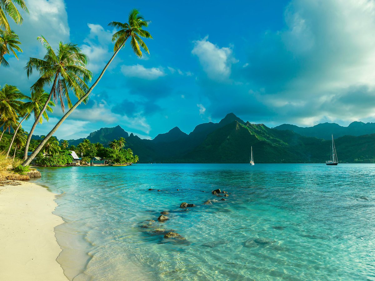 igo4less_'s tweet photo. Tahiti: a destination on every traveler's bucket list, for good reason! 🏖
The new year is full of travel opportunities - make sure to grab them using igo4less today! ✨
#booknowtravellater #igotit #igo4lessbooking
#travelsavings #igo4less #TradetoTravel
#TraveltoTrade https://t.co/L1OvRSNH1U