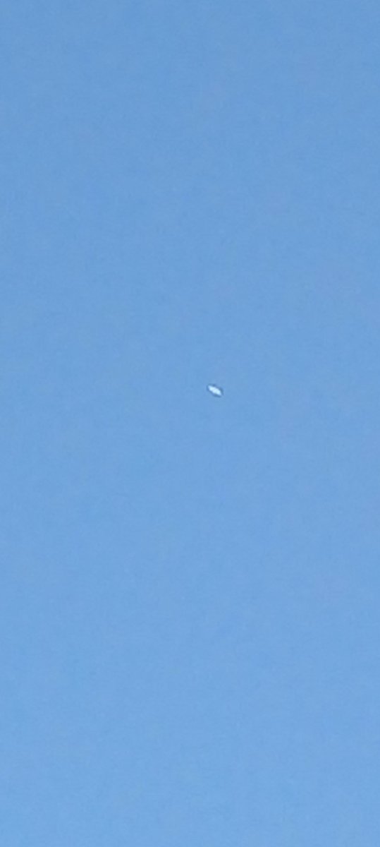 satcer's tweet photo. Esta mañana en observe un objeto suspendido en el cielo de Panama Pacifico. Logre fotografiarlo con el celular antes que se alejara a gran velocidad. Alguna idea de que pudiera ser??
#ufo #ovni #tictac #panamapacifico #panama https://t.co/szvgoMrr2D