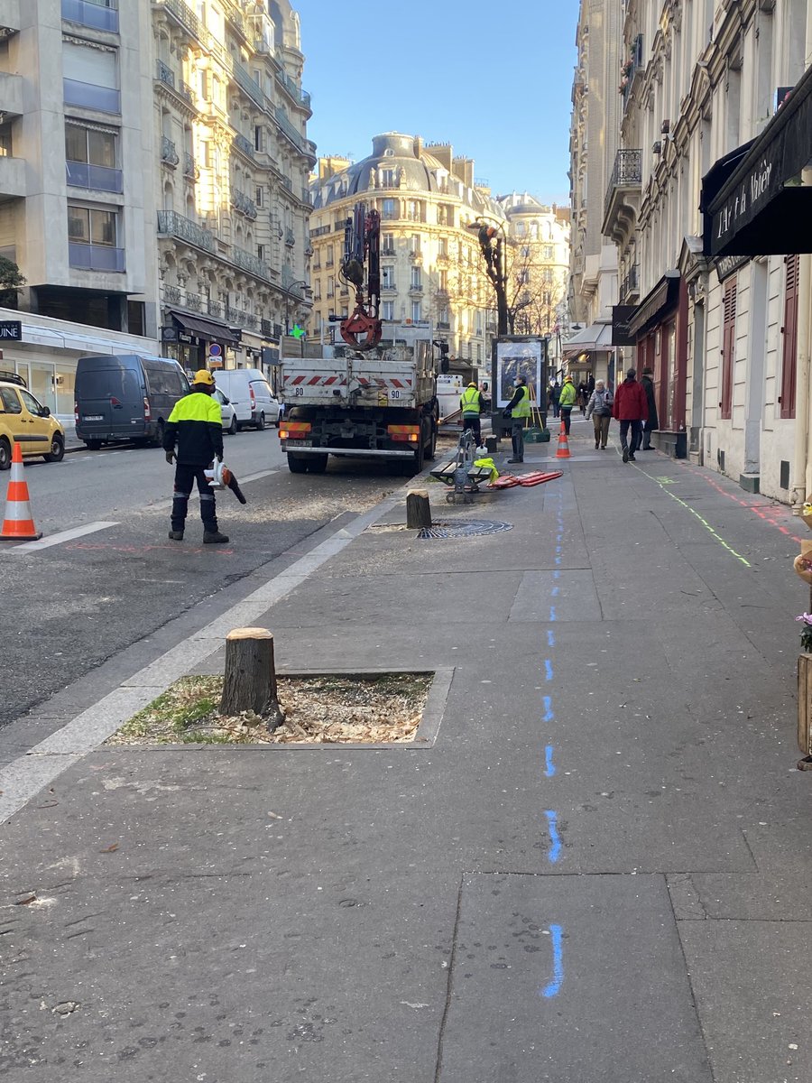 Brisavoine tweet media