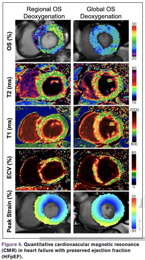 Matthias Friedrich tweet media