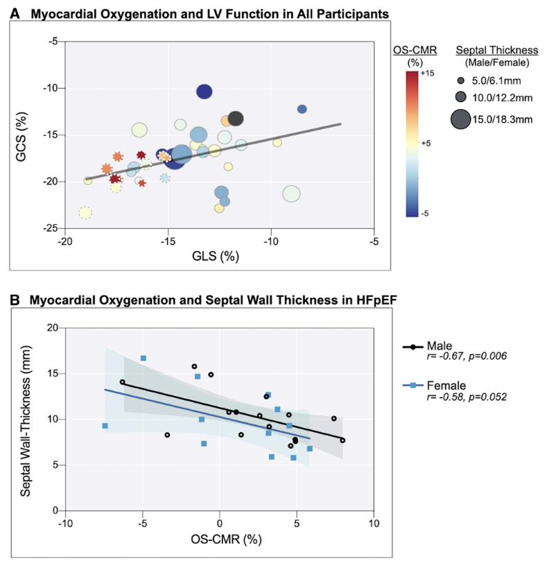 Matthias Friedrich tweet media