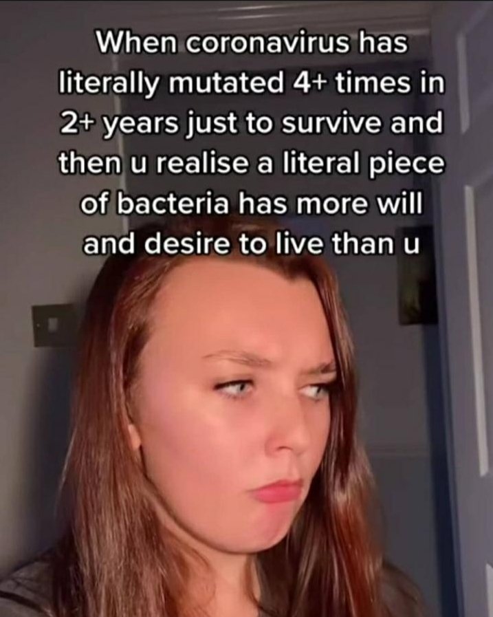 llhxfrat's tweet image. 